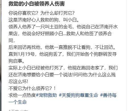 當街虐貓勒索800元：法律沉默時，善良必須支付贖金嗎？