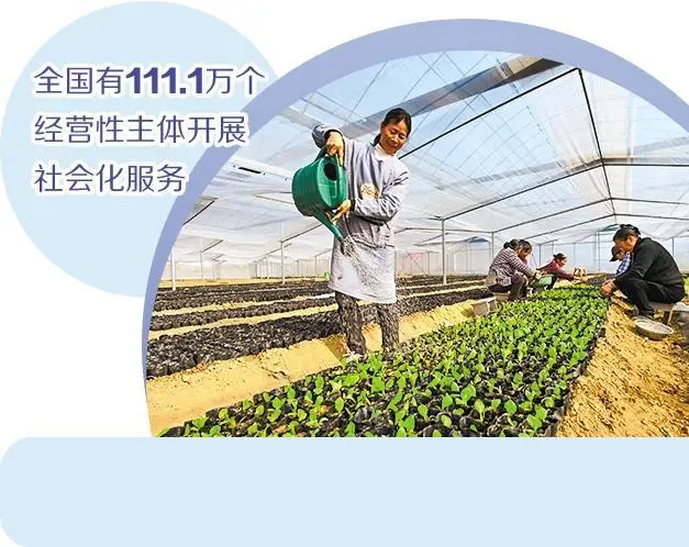 農業社會化服務行業快速崛起