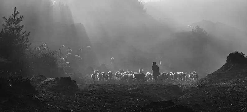 國際旅遊攝影網2026年國內外攝影路線全景指南