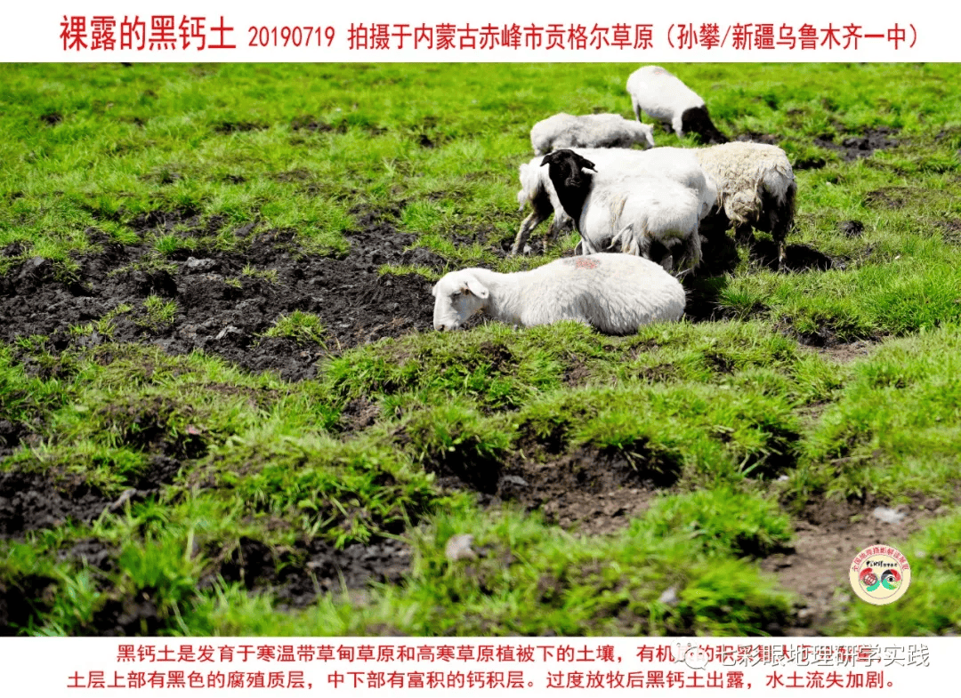 200個地理閱讀和命題的好素材