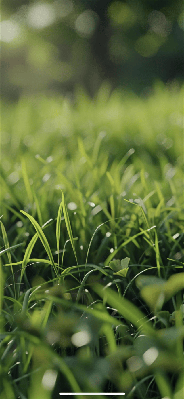 漫天飛雪迎春到 馬年初聞見綠草——詩人趙鋼詩歌新作賞析